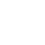 logoBrandsShop